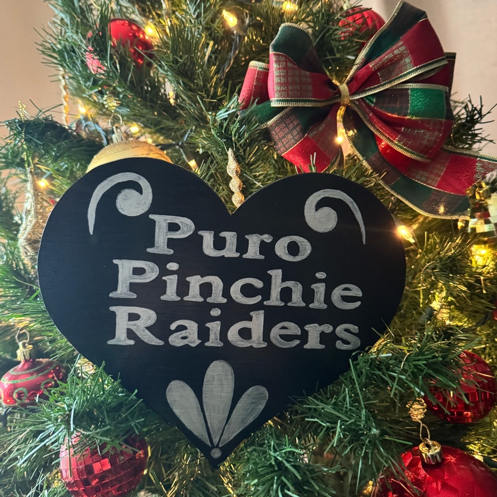 LAS VEGAS RAIDERS Hand-cut & Hand painted wooden Heart
